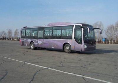 Huanghai  DD6129K66 coach