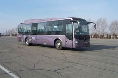 Huanghai  DD6129K66 coach