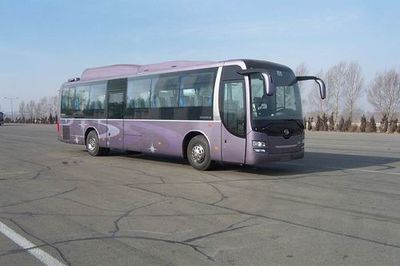 Huanghai  DD6129K66 coach