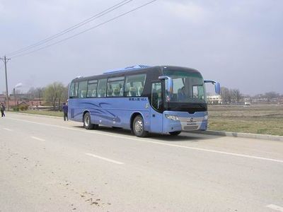 Huanghai  DD6119C50 coach