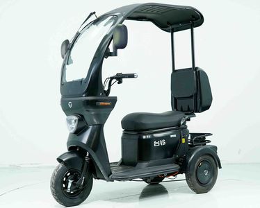 Tailing  TL1200DZK19 Electric tricycle