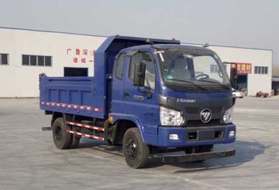 Foton  BJ3103DEPDAFB Dump truck