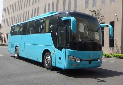 Wanxiang  WXB6111BEV1 Pure electric passenger cars