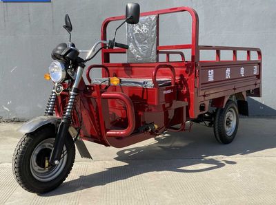 Wanghu  WH2200DZHA Electric tricycle