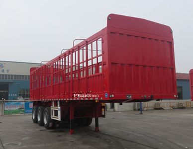 LuffyYFZ9373CCYGantry transport semi-trailer