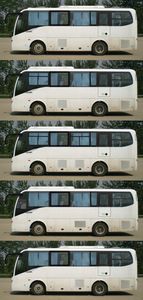 Jinlong  XMQ6879AYN5D coach