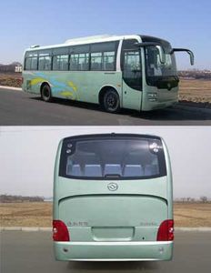 Huanghai  DD6950K61 coach