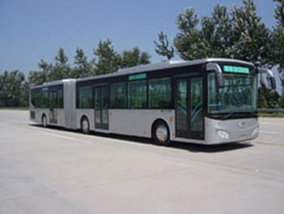 Jinghua Automobile BK6181 Articulated bus