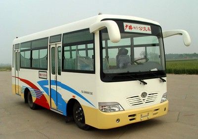 Shaolin  SLG6660CGE City buses