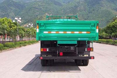 Hongyan  CQ1314TTG466 Truck