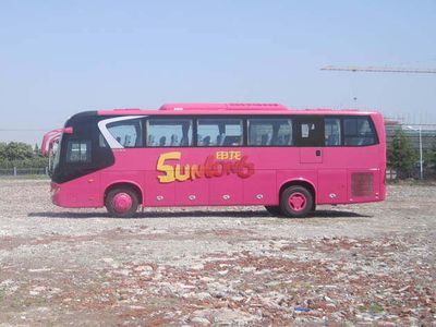 Shenlong brand automobile SLK6118L5A coach