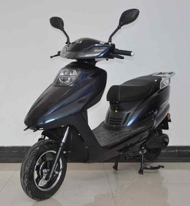 Saige  SG1000DQT5A Electric two wheeled light motorcycle