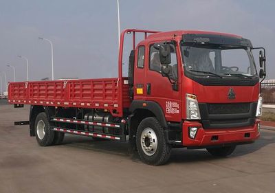 Haowo  ZZ1167K471DF1 Truck