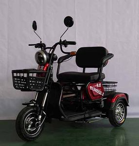 Donglong  DL500DQZ2 Electric three wheeled light motorcycle