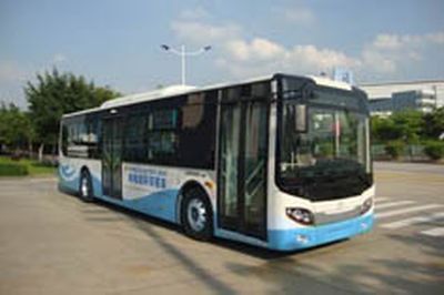 Wuzhoulong  FDG6123EVG Pure electric city buses