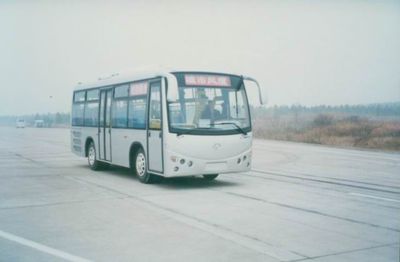 Friendship  ZGT6801DH1 City buses