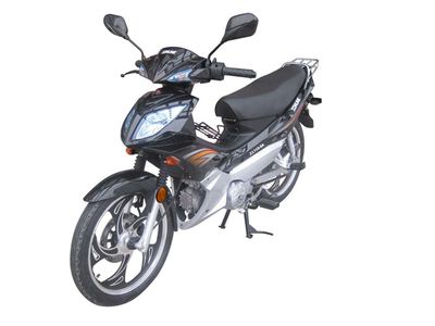 Songling  SL1103A Two wheeled motorcycles