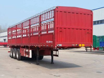 Tuqiang  TQP9381CCY Gantry transport semi-trailer