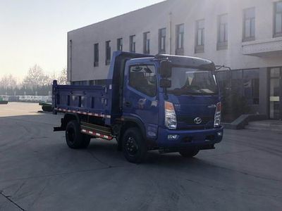 Shifeng  SSF3046DDJ42CW Dump truck