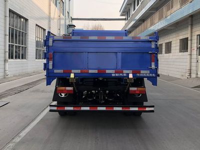 Shifeng  SSF3046DDJ42CW Dump truck