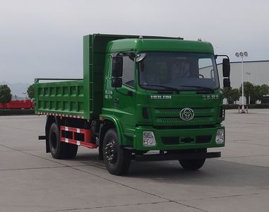 Shitong  STQ3187L05Y2N6 Dump truck