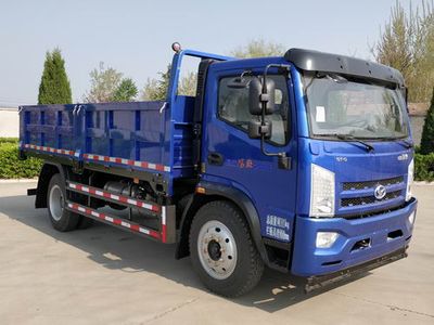 Shifeng  SSF3146DJJ86 Dump truck