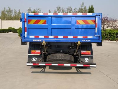 Shifeng  SSF3146DJJ86 Dump truck