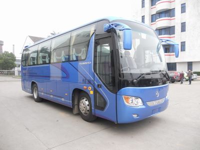 Yaxing  YBL6905H1CP coach