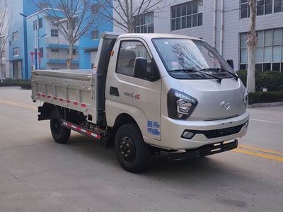 Shifeng SSF5046ZLJDJ42Ygarbage dump truck 