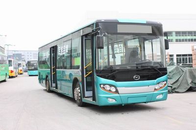 Wuzhoulong  FDG6113EVG2 Pure electric city buses