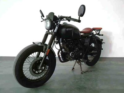 Tiandi Youxia  TD15022 Two wheeled motorcycles