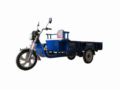 Fuxin Yang  XY3000DZH4A Electric tricycle