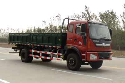 Foton  BJ3168DJPFG1 Dump truck