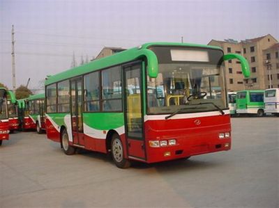 Friendship  ZGT6800DH1 City buses