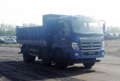 Foton  BJ3193DKPEBFB Dump truck