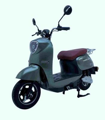 Tailing  TL600DQT91E Electric two wheeled light motorcycle