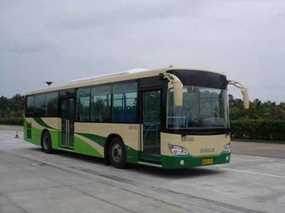 Giant Eagle SJ6110CGCity buses