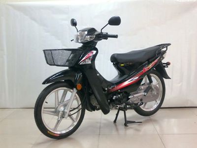 Dayang  DY1102M Two wheeled motorcycles