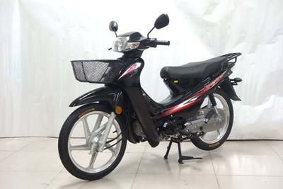 Dayang  DY1102M Two wheeled motorcycles