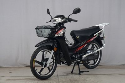 Dayang  DY1102M Two wheeled motorcycles