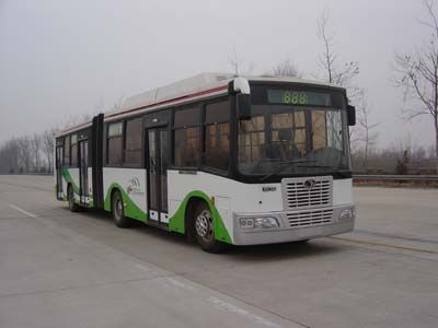 Jinghua Automobile BK6141CNGA Articulated city bus