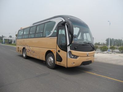 Yaxing  YBL6905H2QJ coach