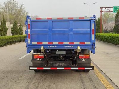 Shifeng  SSF3096DHJ54F Dump truck