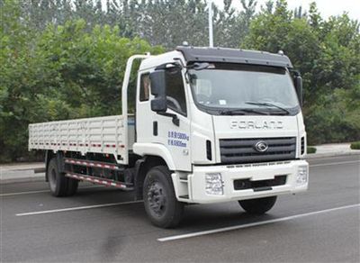 Foton  BJ1163VKPFKB4 Truck