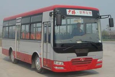 Shaolin SLG6890T3GECity buses