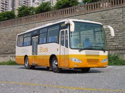 Hengtong Bus CKZ6910EB2 coach