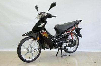 Dayang  DY11012M Two wheeled motorcycles