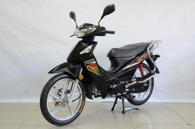 Dayang  DY11012M Two wheeled motorcycles