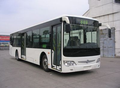 Yaxing JS6116GHCCity buses