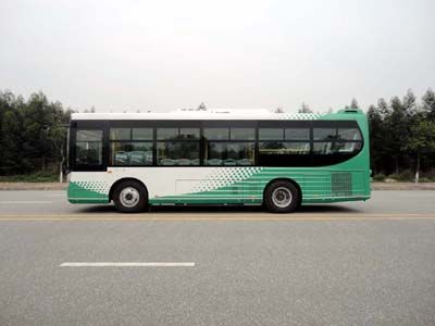 Feichi  FSQ6932DNG City buses